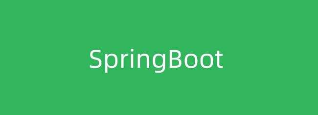 《SpringBoot篇 十七》Spring Boot 还提供了其它的哪些 Starter Project Options？